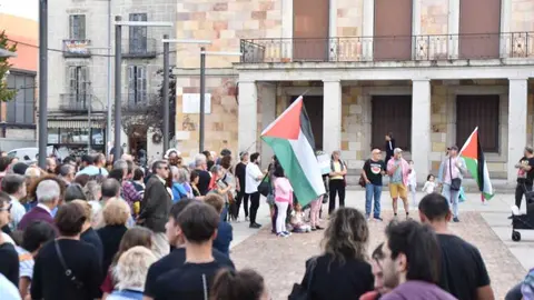 Protesta pro palestina Zamora _11