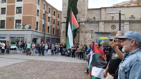 Protesta pro palestina Zamora _14