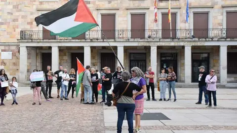 Protesta pro palestina Zamora _18