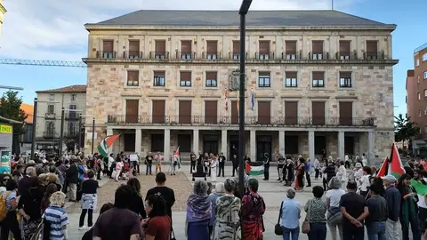 Protesta pro palestina Zamora _19