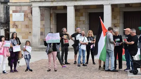 Protesta pro palestina Zamora _21