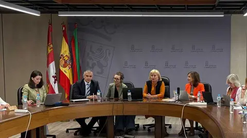 Pleno-Seguridad-y-Salud-en-el-Trabajo-2