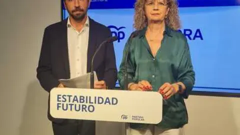 Enmienda PP ley de movilidad Gobierno