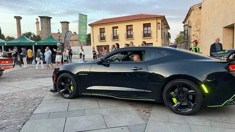 Pure American Style Zamora 