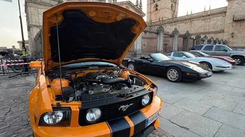 Pure American Style Zamora _2