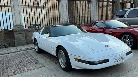 Pure American Style Zamora _5