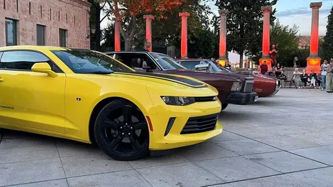 Pure American Style Zamora _6