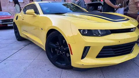 Pure American Style Zamora _8