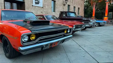 Pure American Style Zamora _11