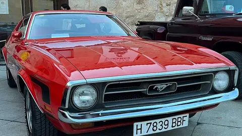 Pure American Style Zamora _12