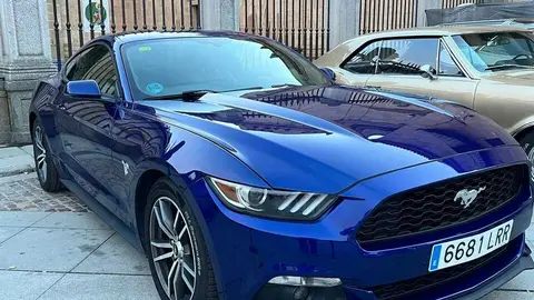 Pure American Style Zamora _22