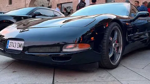 Pure American Style Zamora _25