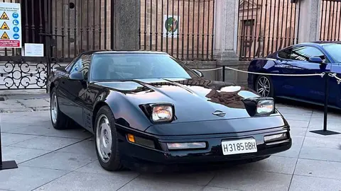 Pure American Style Zamora _26