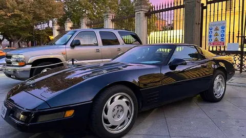 Pure American Style Zamora _29