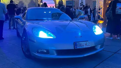 Pure American Style Zamora _30