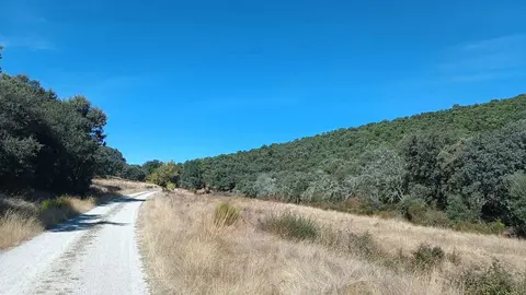 Ruta del Alcornocal12