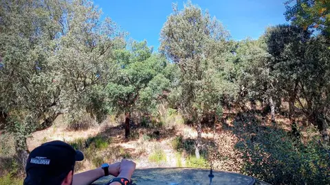 Ruta del Alcornocal10