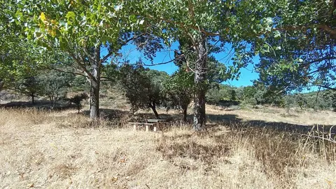 Ruta del Alcornocal9