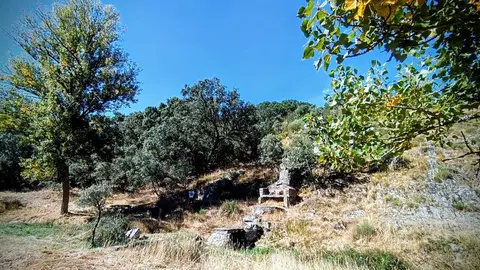 Ruta del Alcornocal8