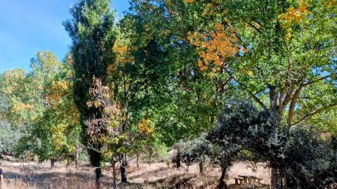 Ruta del Alcornocal1