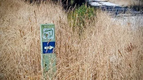 Señal Camino de Santiago en la ruta del Alcornocal