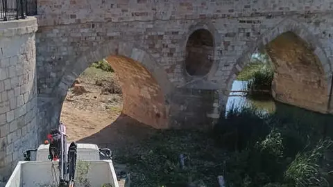tala de árboles en el Puente de piedra
