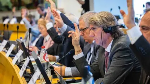 Carlos Martínez en la Comisión