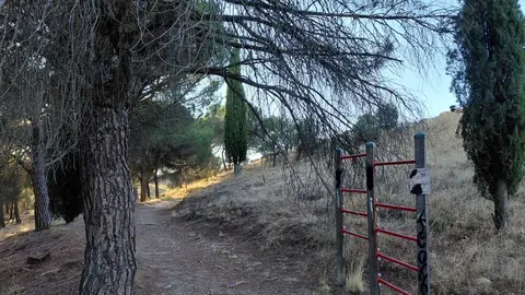 valorio