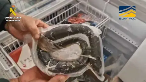 Uno de los productos ilícitos intervenidos. Foto Facua