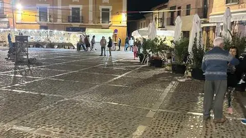 toro ambiente vendimia 2025 (1)