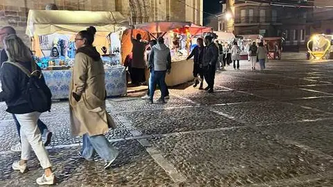 toro ambiente vendimia 2025 (2)