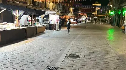 toro ambiente vendimia 2025 (5)