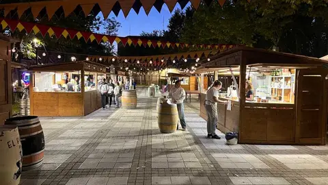 toro ambiente vendimia 2025 (8)