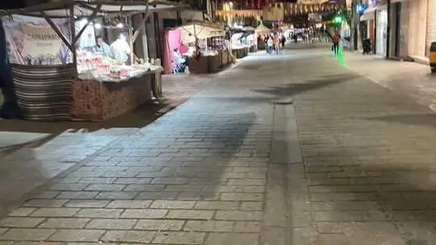 toro ambiente vendimia 2025 (9)