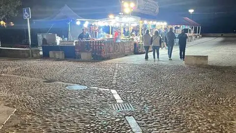 toro ambiente vendimia 2025 (11)