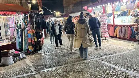 toro ambiente vendimia 2025 (15)