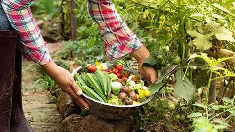 Agricultura de producción ecológica