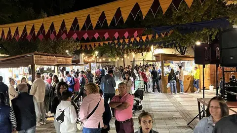 Fiesta de la Vendimia Toro_2