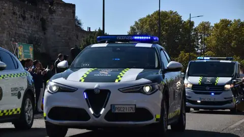 guardia civil desfile (45)