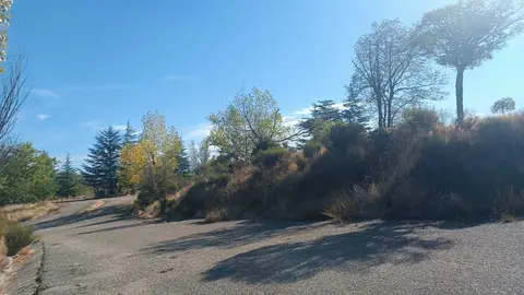 Camino de la central nuclear incabada en Moral de Sayago1