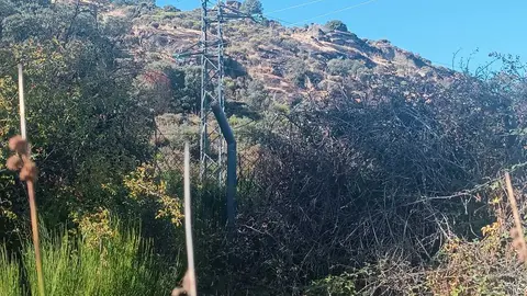 Restos de las construcción de la central nuclear en Moral de Sayago1