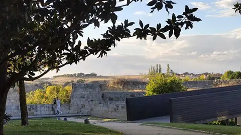 vista de un incendio en la N122 de Zamora a Portugal