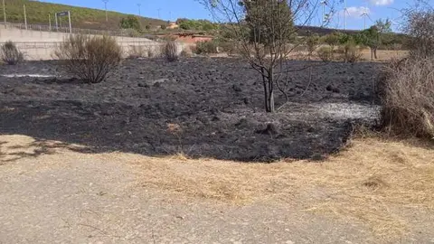 incendio Abejera