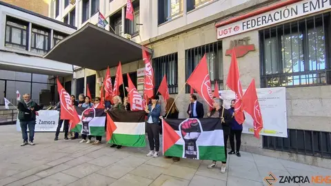 ugt palestina