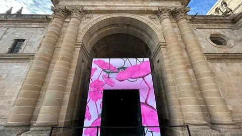 Edades del Hombre Zamora Catedral _2