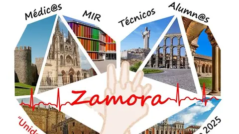 V jornadas de enfermeria de urgencias y emergencias de cyl