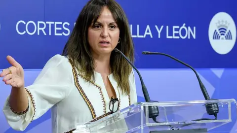 La portavoz socialista en las Cortes, Patricia Gómez