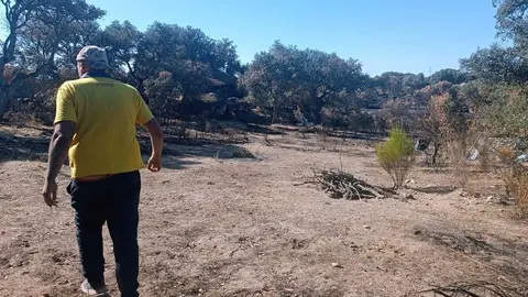 Israel por su finca