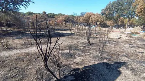 Finca de Moral de Sayago 1