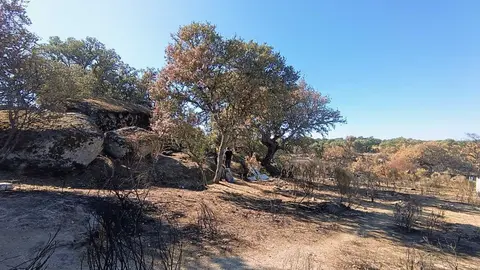 Finca de Moral de Sayago
